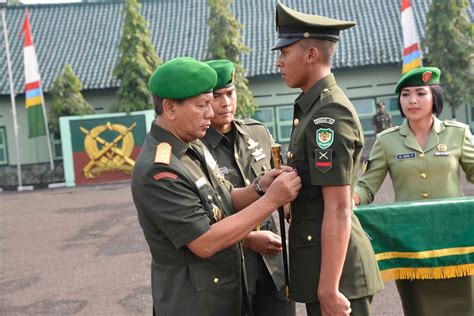 Kenali Tentara Nasional Indonesia dengan Membedakan Warna Seragam Mereka