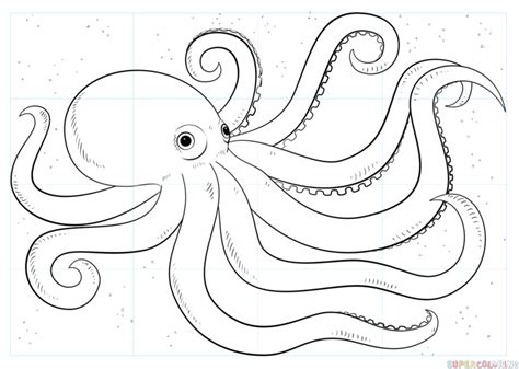 How to draw an octopus | Step by step Drawing tutorials