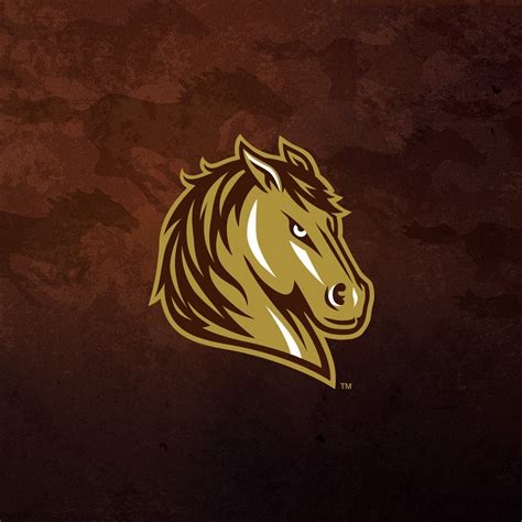 Mustangs4Life - Mustangs Logo Revealed! | Southwest Minnesota State ...