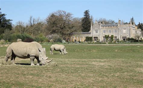 Ellenborough Park Cotswolds Family-Friendly Review | Ciao Bambino!