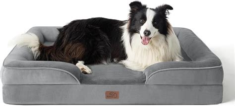 7 Best Dog Beds for Arthritis | Pet Living