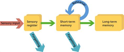 How To Improve Short-Term Memory (extensive guide) | Be Brain Fit