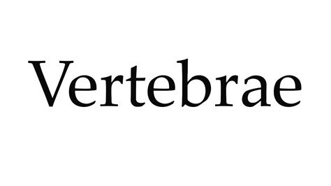 How to Pronounce Vertebrae - YouTube