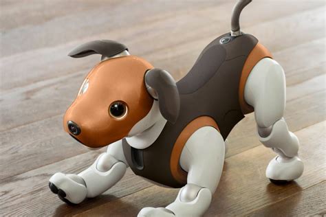 OMG! We want Sony's new beagle-like Aibo robot dog