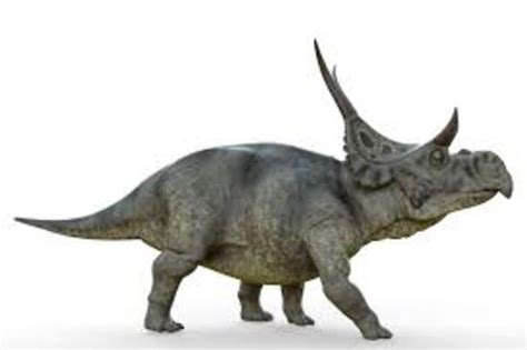 Diabloceratops dinosaurs , facts | pictures -Diabloceratops habitat.