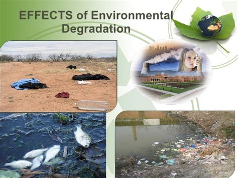 enviroment degradation