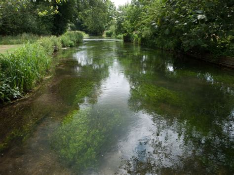 End river pollution | The Wildlife Trusts