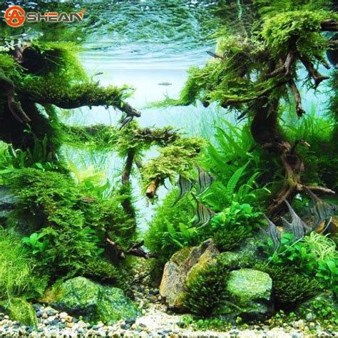 500 pcs / Bag Aquarium Grass Seeds Water Grasses Random Aquatic Plant ...