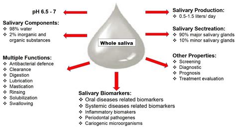 Diagnostics | Free Full-Text | Salivary Diagnostics—Point-of-Care ...