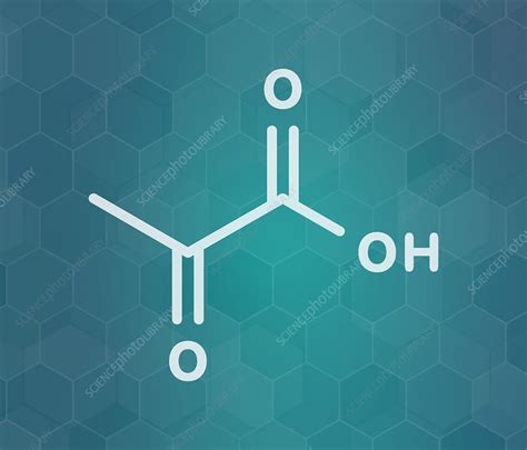 Pyruvic acid molecule, illustration - Stock Image - F027/9332 - Science Photo Library