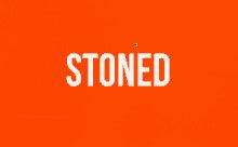 Cat Stoned GIFs | Tenor