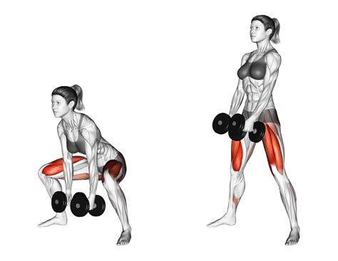 Dumbbell Sumo Deadlift: Benefits, Muscles Worked, and More - Inspire US