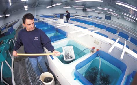 Aquaculture Technician | Agriculture Jobs & Career Search