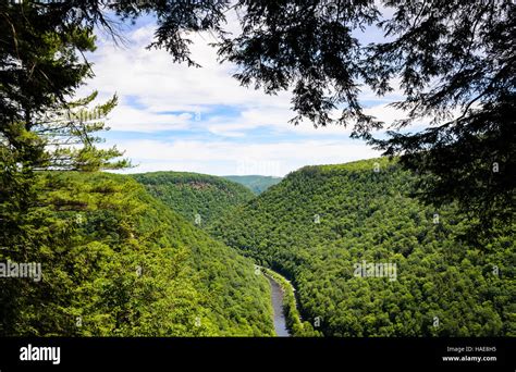 Pine Creek Gorge Stock Photo - Alamy