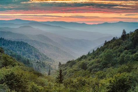 Great Smoky Mountains National Park Guide - Blue Ridge Mountain Life