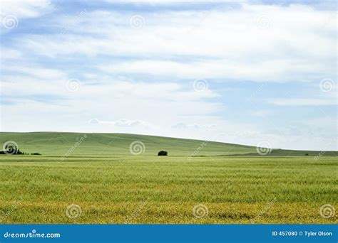 Prairie Landscape stock photo. Image of flat, beautiful - 457080