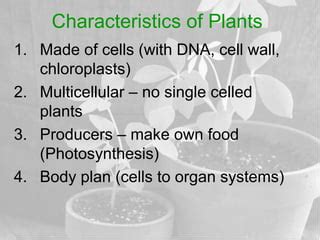 Plant characteristics | PPT