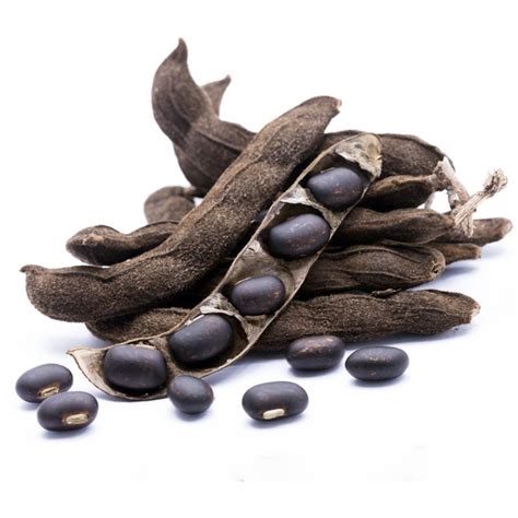 Mucuna Pruriens Extract (Cowhage) – Beaufort Organics