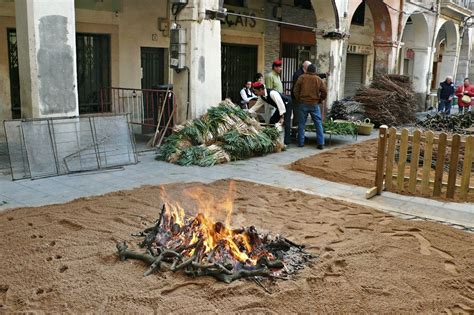 calçotada | enciclopedia.cat