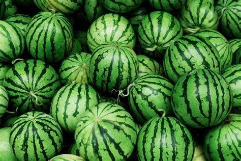 How to Grow Watermelons