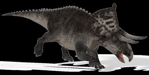 Zuniceratops Pictures & Facts - The Dinosaur Database