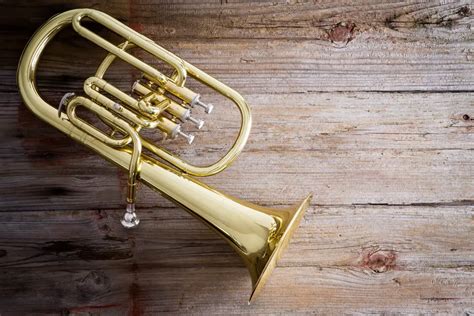 Best of Both Worlds: The Baritone Horn Buying Guide ⋆ Hear the Music Play