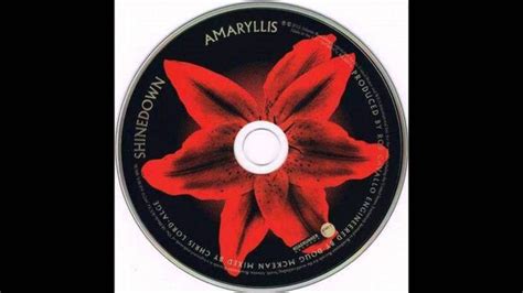 Shinedown - Miracle [Amaryllis] | Amaryllis, Miracles, Album covers