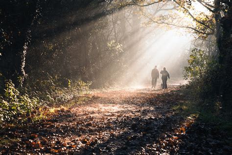 A walk in the woods | A couple walking through the Woods in … | Gavin ...