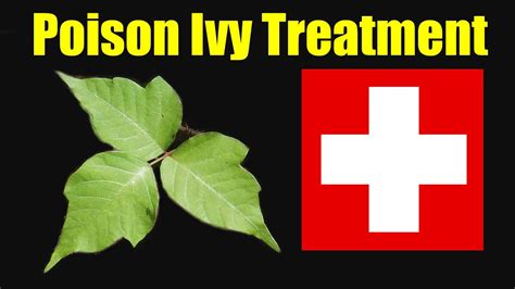 Poison Ivy Survival Guide – Part 5 - Poison Ivy Rash Treatment - YouTube