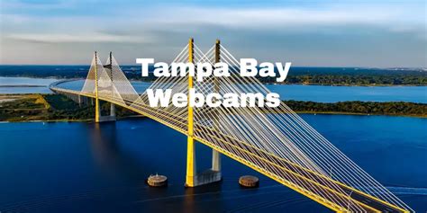 Tampa Bay Live Cameras: Bridge, University, Port (Idalia Tracking)