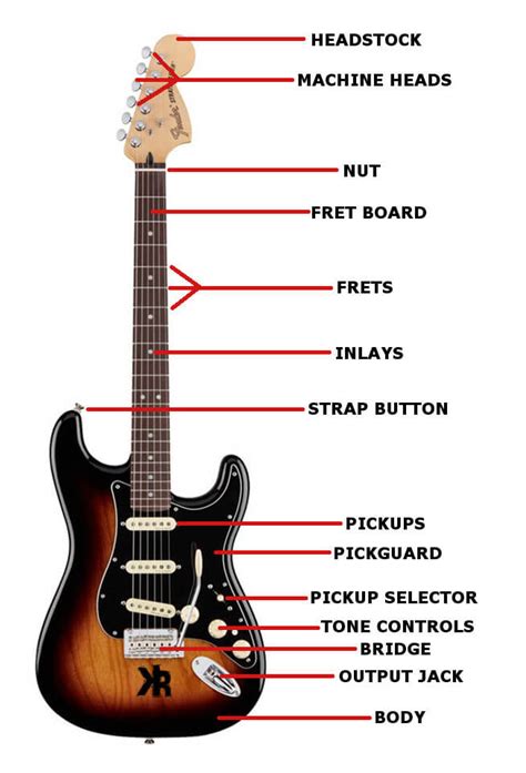 Guitar Part Names: Decoding the Anatomy (2024)