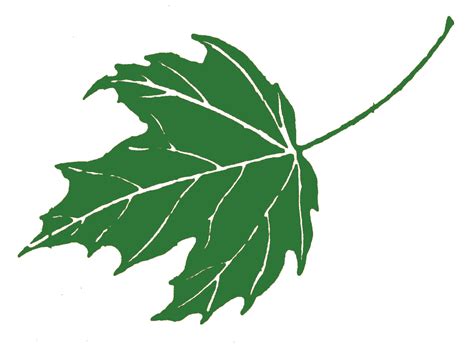 Green Maple Leaf Clip Art - ClipArt Best