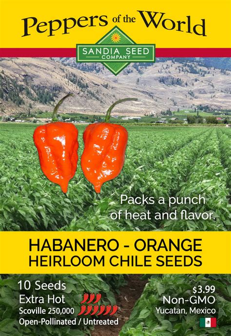 Habanero Orange - Seeds – Sandia Seed Company