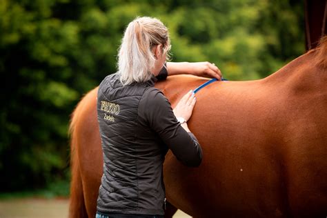 Fitting the saddle - Fryso Saddles