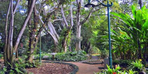 Wahiawa Botanical Garden Weddings | Get Prices for Wedding Venues