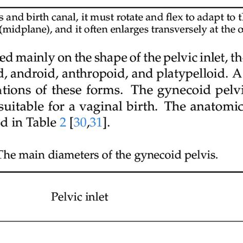 The most important pelvic diameters in obstetrics, in relation to hip ...