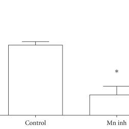 Decrease of dopamine content in the striatum after 5 months of Mn... | Download Scientific Diagram