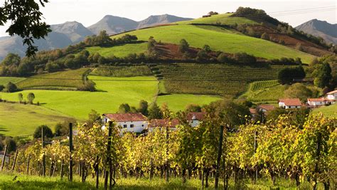 Why the Wines of Southwest France Belong on Every Wine List | SevenFifty Daily