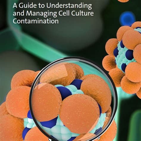 Cell Culture Contamination Guide | Life Sciences | Corning