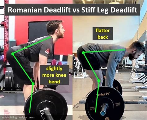 Romanian Deadlift vs Stiff Leg Deadlift in 2022 | Stiff leg deadlift, Stiff leg deadlift form ...