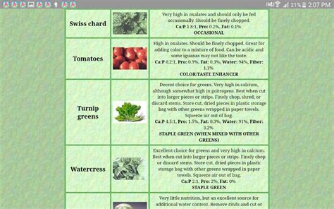 Green Iguana Care Guide N2 Food Chart | Reptiles Amino