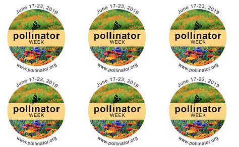 Pollinator Week | Pollinator.org