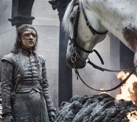 Game of Thrones 8 Episode 5: Arya Stark's new mysterious horse at King ...