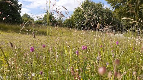 Home | Gloucestershire Wildlife Trust