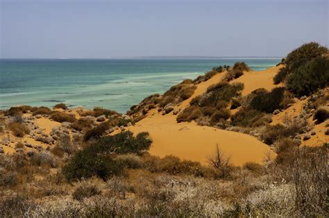 Shark Bay, Western Australia: World Heritage Site