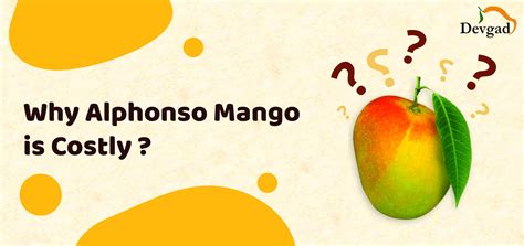 Why Alphonso Mango is Costly – Devgad Mango