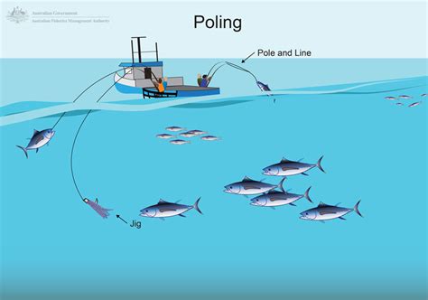 EFFECTIVE OCEANIC TUNA FISHING TECHNIQUES