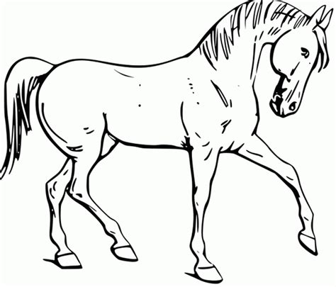 Fun Horse Coloring Pages for Your Kids Printable