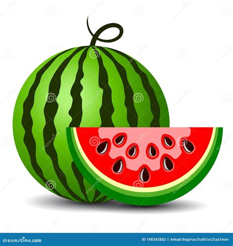 Water melon vector cartoon stock vector. Illustration of diet - 198342882