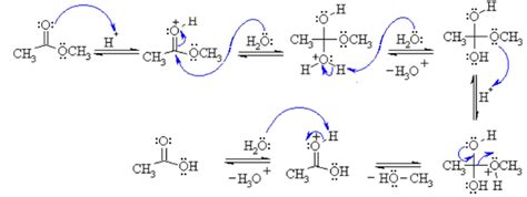 Hydrolysis of Ethyl Acetate - Labmonk